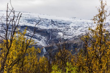İsveç 'in kuzeyinde, Laponya' da sonbahar manzarası. Avrupa.