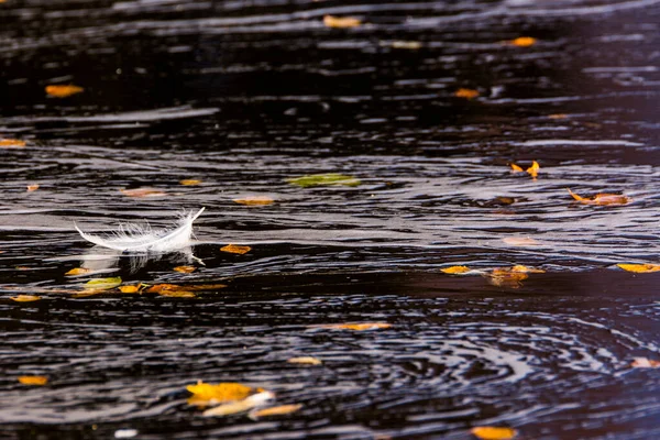 Осенняя Река Муонио Лапландия Северная Финляндия — стоковое фото