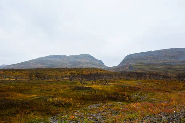 挪威北部冻土带的秋天风景 — 图库照片