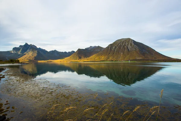 Lofoten Adaları Ndaki Sonbahar Manzarası Plajı Norveç — Stok fotoğraf