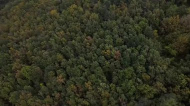 La Garrotxa, Girona, İspanya 'da sonbahar manzarasının insansız hava aracı görüntüsü. 4K UHD