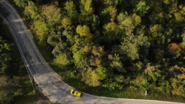 La Garrotxa, Girona, İspanya 'daki sonbahar yolunun insansız hava aracı görüntüsü. 4K UHD