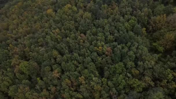 Cena Aérea Com Drone Paisagem Outono Garrotxa Girona Espanha Uhd — Vídeo de Stock