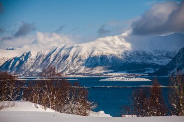 Lofoten Adaları 'nda kış, Kuzey, Norveç.