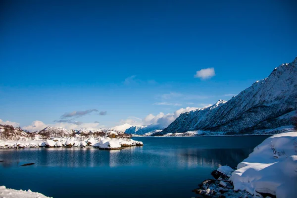 Winter Auf Den Lofoten Northern Norwegen — Stockfoto