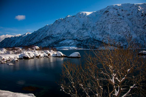 Tél Lofoten Szigeteken Észak Norvégia — Stock Fotó