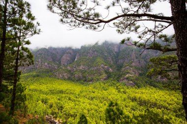 Cumprecita, Caldera De Taburiente, La Palma Adası, Kanarya Adaları, İspanya