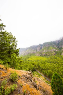 Cumprecita, Caldera De Taburiente, La Palma Adası, Kanarya Adaları, İspanya