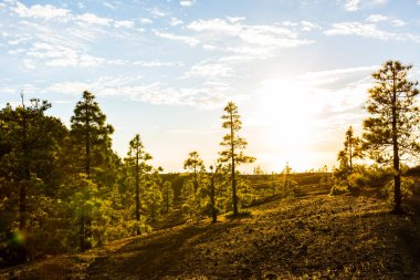 Llano del Jable 'da bahar günbatımı, La Palma Adası, Kanarya Adaları, İspanya.