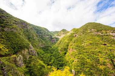 İspanya, Kanarya Adaları, La Palma Adası 'ndaki Garafia' daki tropik dağlar