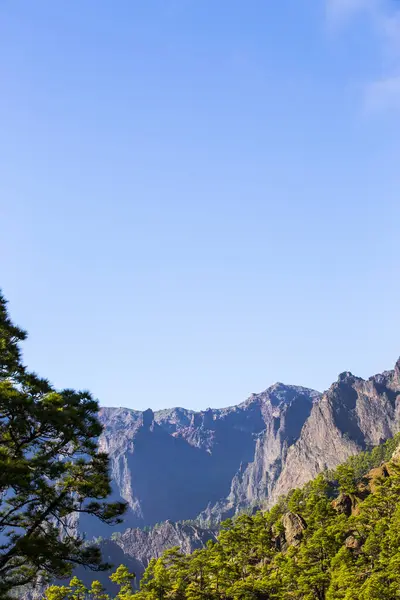 Primavera Cumprecita Caldera Taburiente Palma Island Ilhas Canárias Espanha — Fotografia de Stock