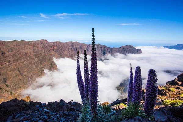 Spring Sunset Caldera Taburiente Palma Island Canary Islands Spain — Stock Photo, Image