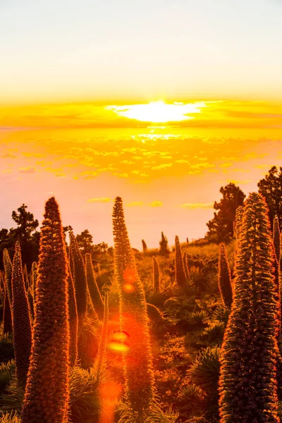 Pôr Sol Entre Tajinastes Caldera Taburiente Palma Island Ilhas Canárias — Fotografia de Stock