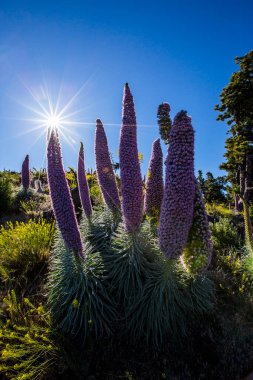 Günbatımı Caldera De Taburiente, La Palma Adası, Kanarya Adaları, İspanya