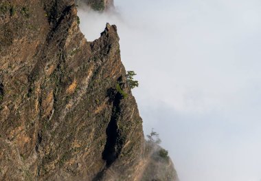 Caldera de Taburiente 'de bahar günbatımı, La Palma Adası, Kanarya Adaları, İspanya