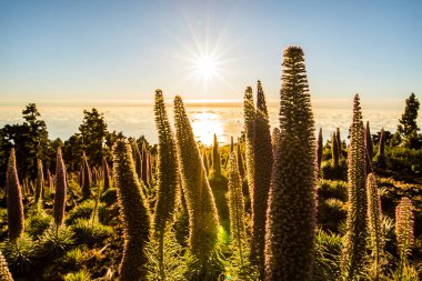 Günbatımı Caldera De Taburiente, La Palma Adası, Kanarya Adaları, İspanya