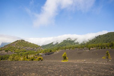 Caldera De Taburiente 'de bulutlar, La Palma Adası, Kanarya Adaları, İspanya