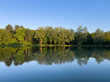 Sakin bir gölde yansıtılan canlı yeşil ağaçların bulunduğu sakin bir manzara huzurlu ve huzurlu bir manzara yaratıyor.