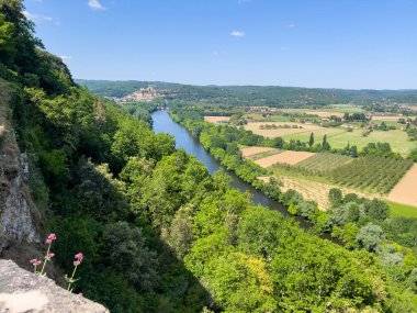 Fransa 'nın Nouvelle Aquitaine kentindeki Castelnaud la Chapelle yakınlarındaki yemyeşil vadi, tarım arazileri ve ormanlardan geçen Dordogne Nehri' nin panoramik manzarası