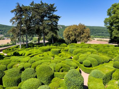 Verimli yeşil boxwood çalı ağacı Vezac, Dordogne, Fransa 'daki Overhang Marqueyssac Bahçeleri' nde büyüleyici bir manzara yaratır.