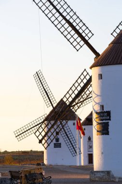 La Mancha 'da altın saatinde İspanyol kültür mirasını tasvir eden beyaz yel değirmenleri