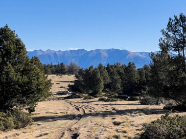 Occitanie 'de uzak tepeleri olan huzurlu bir sonbahar dağ manzarası boyunca uzanan toprak izleri.