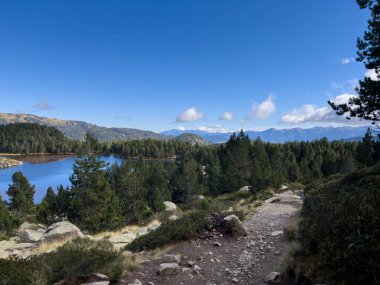 Mavi gökyüzünün altında sakin bir dağ gölüne bakan çam ormanlarında dolambaçlı yürüyüş yolu.