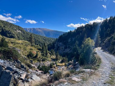 Porte Puymorens 'de açık mavi gökyüzünün altında ormanlık yamaçlardan geçen toprak yol.