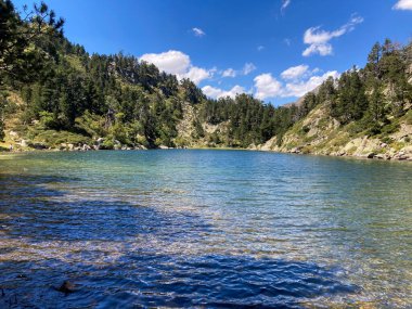 Berrak dağ gölü suyu, etrafını çam ağaçları sarmış bulutlarla dolu parlak mavi bir gökyüzünü yansıtıyor.