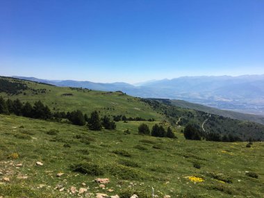 Yuvarlanan yeşil tepeler ve Pireneler 'i çevreleyen yeşil ağaçlar