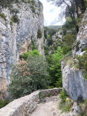 Kayalıkların etrafında kıvrılan dağ izleri ve derin bir kanyonun içindeki yeşil ağaçlar.