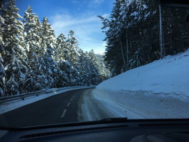 Çam ağaçlarıyla çevrili, açık mavi bir gökyüzünün altında dönen karlı bir yolda giden araba.