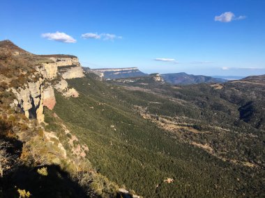 Uçsuz bucaksız mavi gökyüzünün altında derin bir orman vadisini tanımlayan dik kaya duvarları