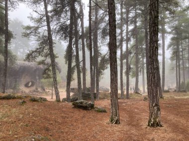 Sisli çam ormanı eşsiz kaya oluşumlarını keşfeden ziyaretçiler için gizemli bir atmosfer yaratıyor.