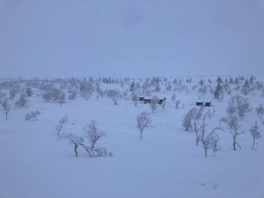 Enontekio, Finlandiya 'nın uçsuz bucaksız, huzurlu kış ormanlarında, karla kaplı ağaçların arasında ücra kulübeler.