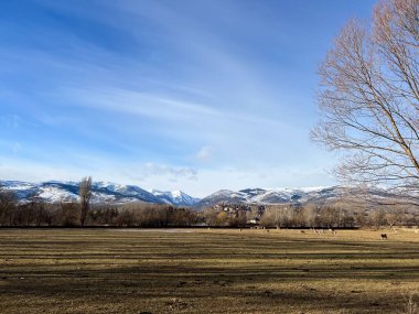 Ağaçlardan, Cerdanya vadisinden, karlı dağlardan ve bir köyden gelen uzun gölgelerle kurak kış tarlaları.