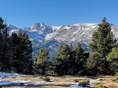 Les Angles, Occitanie, Fransa 'daki yeşil çam ağaçlarının arkasında yükselen karlı dağlar