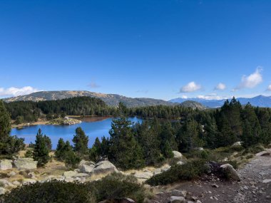 Dağ Gölü, Fransa 'nın Occitanie kentindeki çam ağaçları ve kayalık araziyle çevrili berrak gökyüzünü yansıtıyor.