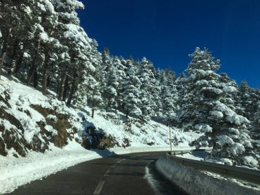 Karla kaplı yollar, çam ağaçlarıyla kaplı güzel bir kış manzarası boyunca kıvrılıyor.