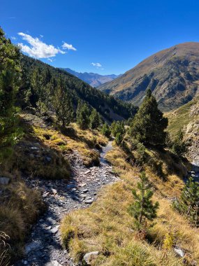 Yüksek irtifa vadisini aşan manzaralı dağ yolu, açık bir gökyüzü altında geniş manzaralı.