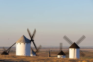 Temiz bir gökyüzü altında La Mancha manzarasını tanımlayan tarihi yel değirmenleri