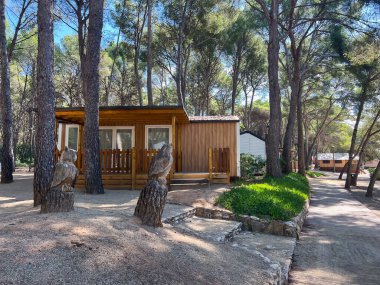 Bir kamp alanındaki çam ağaçlarıyla çevrili ağaç kütüklerinde baykuş oymalarının yer aldığı ahşap tatil köşkü.