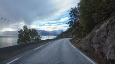 Norveç 'in güzel kırsalında fiyort boyunca manzaralı bir yolda araba sürmek