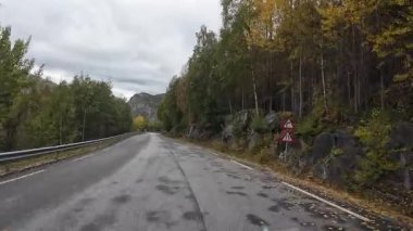 Norveç 'te sonbahar yeşillikleri olan ıslak bir dağ yolunda bir karavanı sürmek