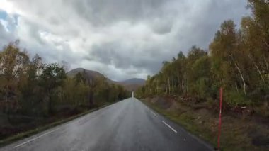 Norveç 'in Senja kentindeki bir sonbahar ormanı boyunca ıslak asfalt yolda giden bir araçtan bakış açısı