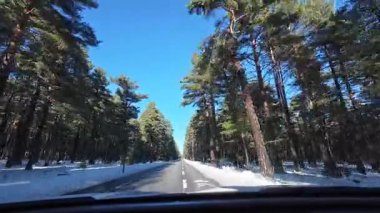 Les Angles, Pyrenees 'de karlı bir çam ormanında araba sürmek