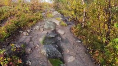 Lofoten Adaları, Norveç; 11 Eylül 2024: Güneşli bir günde Norveç 'in göz kamaştırıcı manzaralarında bir karavan sürmek