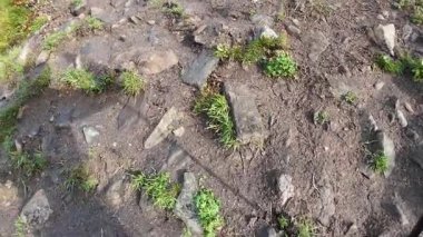 Lofoten Adaları, Norveç; 11 Eylül 2024: Güneşli bir günde Norveç 'in göz kamaştırıcı manzaralarında bir karavan sürmek