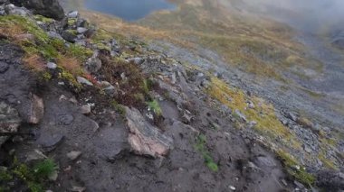 Lofoten Adaları, Norveç; 11 Eylül 2024: Güneşli bir günde Norveç 'in göz kamaştırıcı manzaralarında bir karavan sürmek