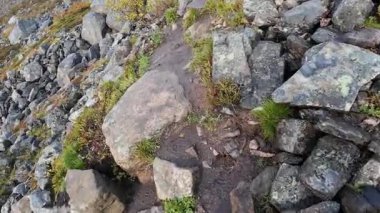 Lofoten Adaları, Norveç; 11 Eylül 2024: Güneşli bir günde Norveç 'te manzaralı bir yolda giden bir karavanın bakış açısı